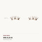 Pisces Press-On Lashes, style ALB-05